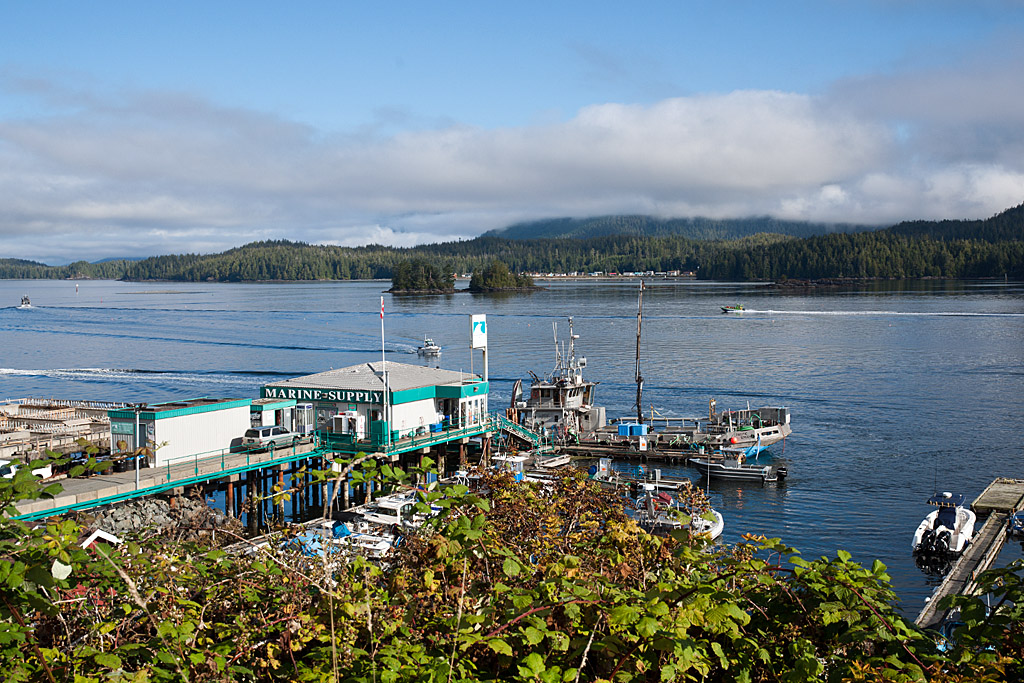 Tofino